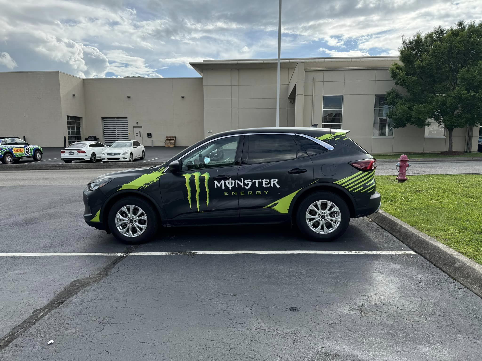 vinyl wraps